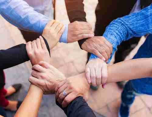 成为www.z6.com的一份子